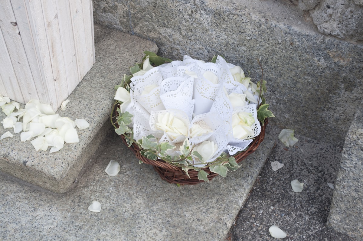Planta em vaso, uma prenda de casamento para a casa
